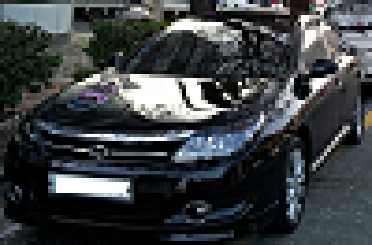 자동차