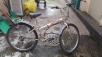 BIG MAX PASSION gs