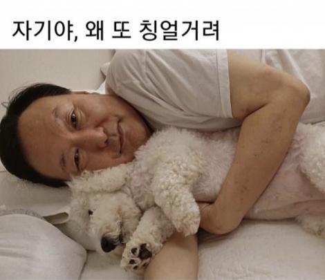 댓글 첨부 이미지