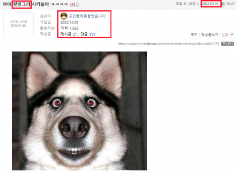 댓글 첨부 이미지