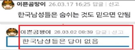 댓글 첨부 이미지