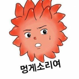 댓글 첨부 이미지