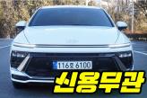 현대 쏘나타 디 엣지 2.0 LPi   비즈니스1