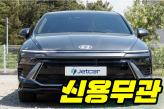 현대 쏘나타 디 엣지 1.6 터보  에스