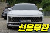 현대 디 올 뉴 그랜저 2.5 2WD  프리미엄