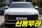 현대 디 올 뉴 그랜저 2.5 2WD  아너스
