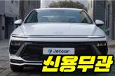 현대 쏘나타 디 엣지 2.0 LPi   비즈니스1