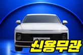 현대 디 올 뉴 그랜저 2.5 2WD  아너스